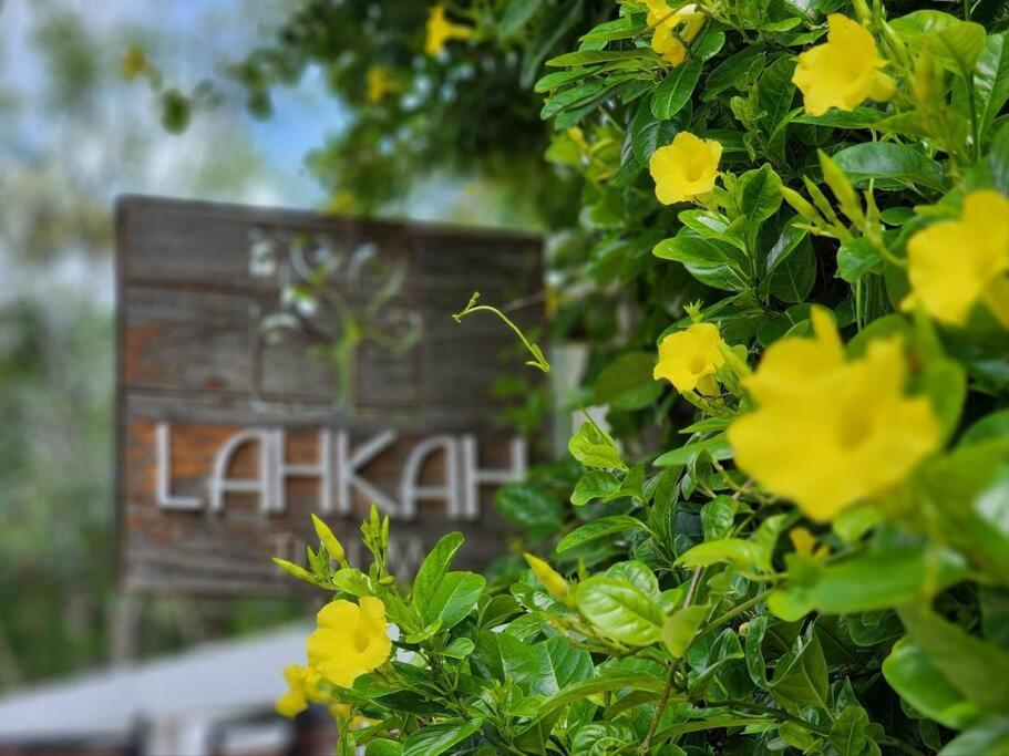 Ferienwohnung Amazing Jungle Retreat Lahkah Tulum Exterior foto